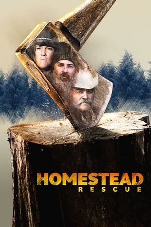 homestead rartv h264 tires webrip x264 ion10 seeders leechers tonights tmdb torrent