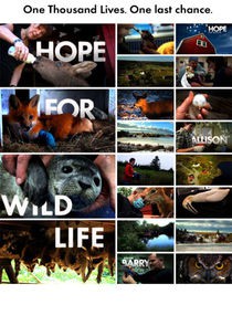 wildlife hope tv